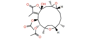 Pachyclavulariolide M